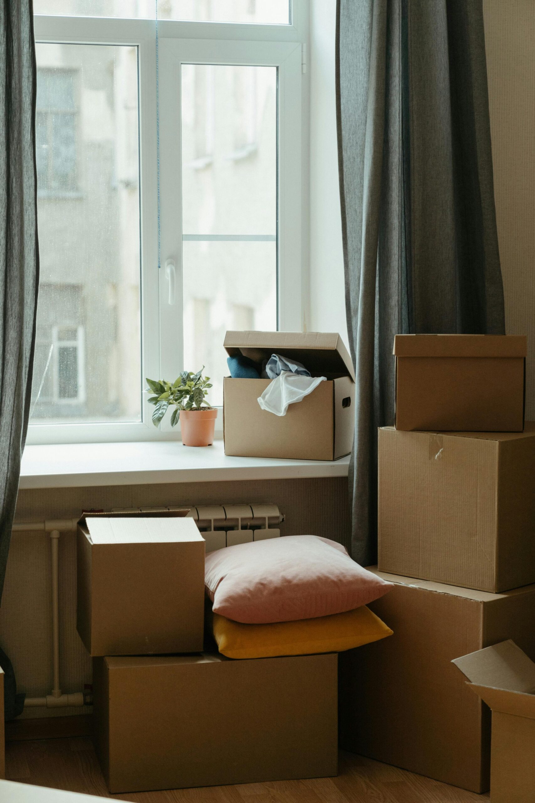 moving boxes